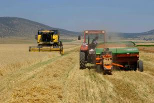 Küçük çiftçiye büyük destek.