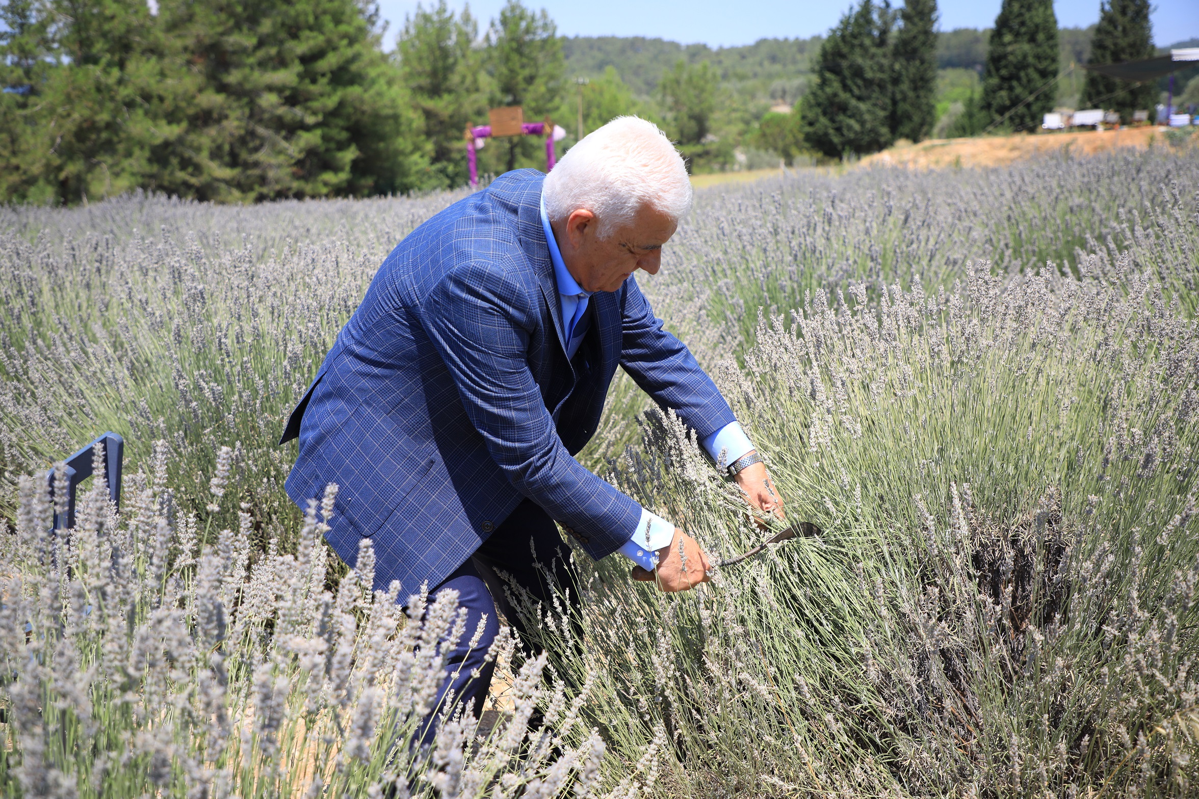 Tarımsal Güçbirliği Projesi Üreticiye Kazandırıyor