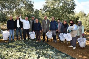 Kırkağaçlı Zeytin Emekçilerine Büyükşehir’den Koruyucu Malzeme
