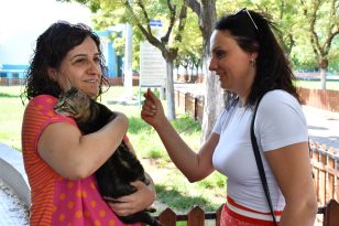   Sağlığına Kavuşan Kediyi Büyükşehir Personeli Sahiplendi